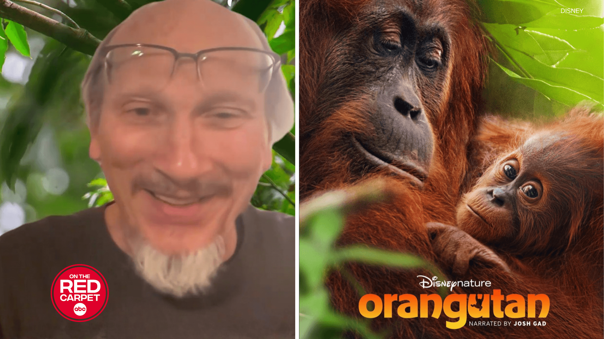 Làm thế nào các nhà làm phim Disneynature tìm ra câu chuyện về 'Đười ươi' và hợp tác với Josh Gad