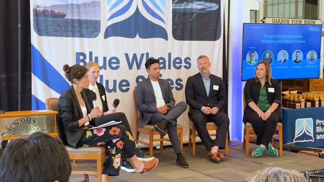 Cá voi xám được phát hiện đã chết gần Alcatraz khi CA mở rộng chương trình làm chậm tàu