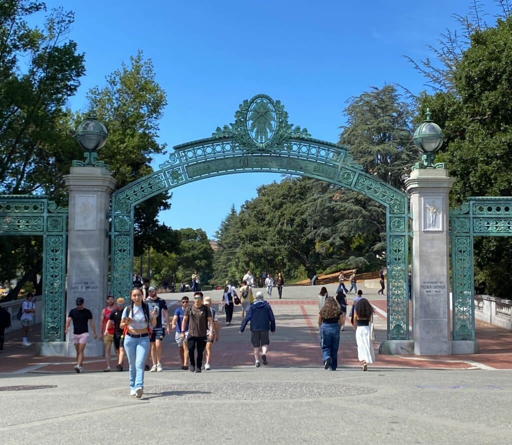 Liệu việc học sau đại học có phải là năm nghỉ mới cho một thị trường việc làm mờ nhạt?