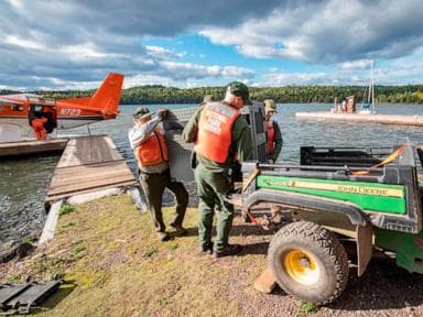 Các nhà nghiên cứu cho biết đàn sói ở đảo Lake Superior đang phát triển mạnh khi săn nai sừng tấm