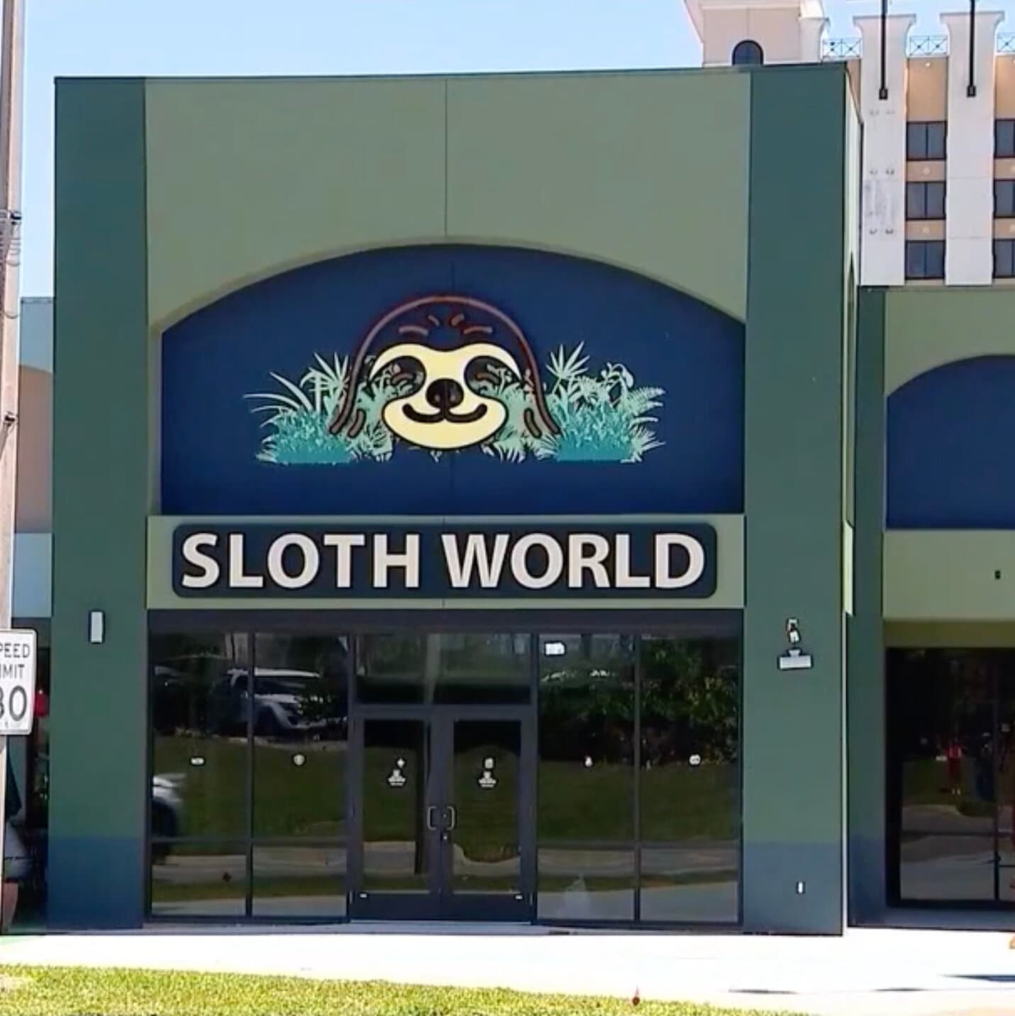 Các quan chức cho biết 31 con lười được thu hút bởi một điểm thu hút động vật ở Orlando đã chết